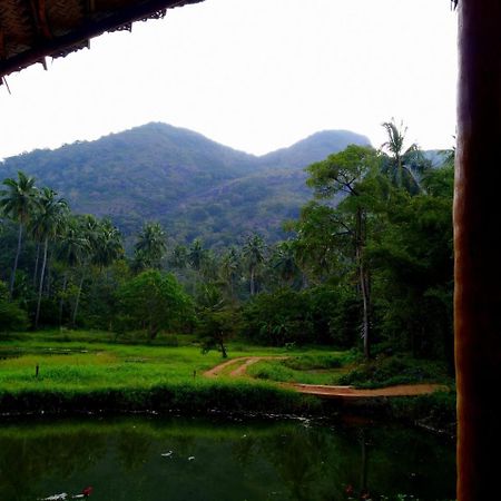 Raintree Villa Dambulla Luaran gambar