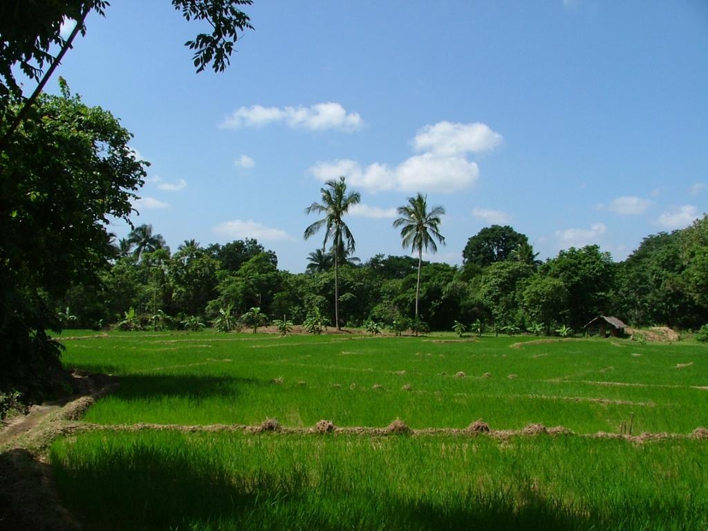 Raintree Villa Dambulla Luaran gambar