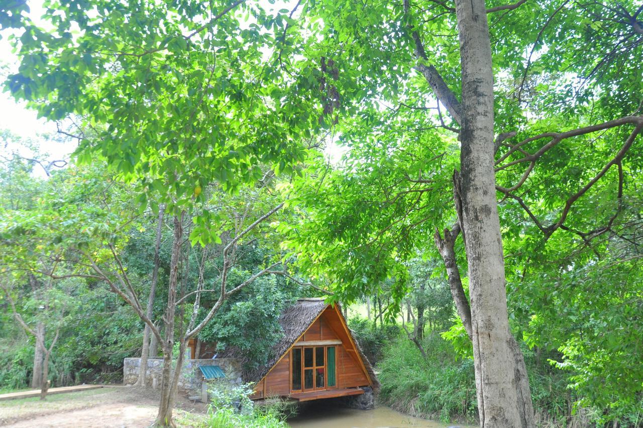Raintree Villa Dambulla Luaran gambar