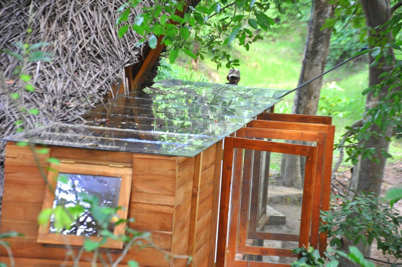 Raintree Villa Dambulla Luaran gambar