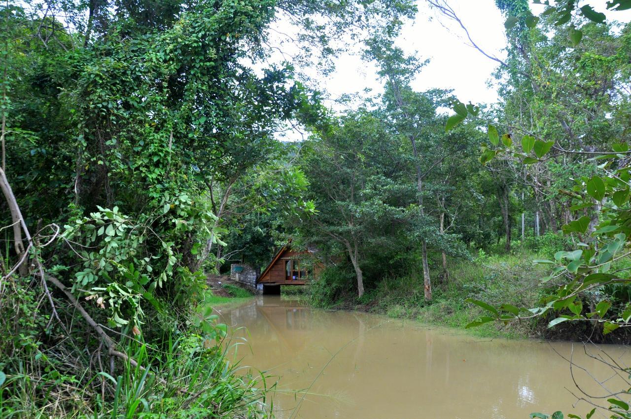 Raintree Villa Dambulla Luaran gambar
