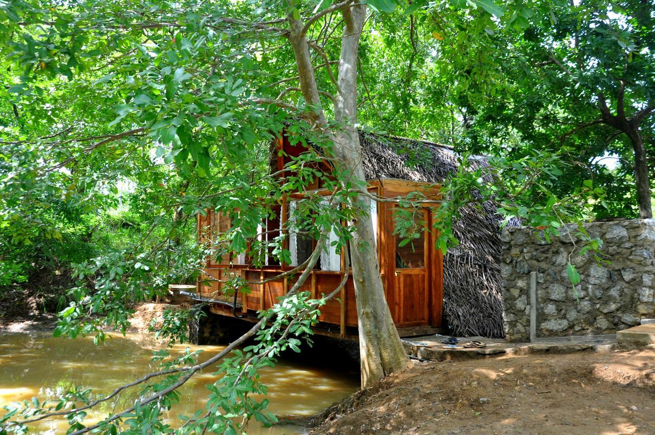Raintree Villa Dambulla Luaran gambar