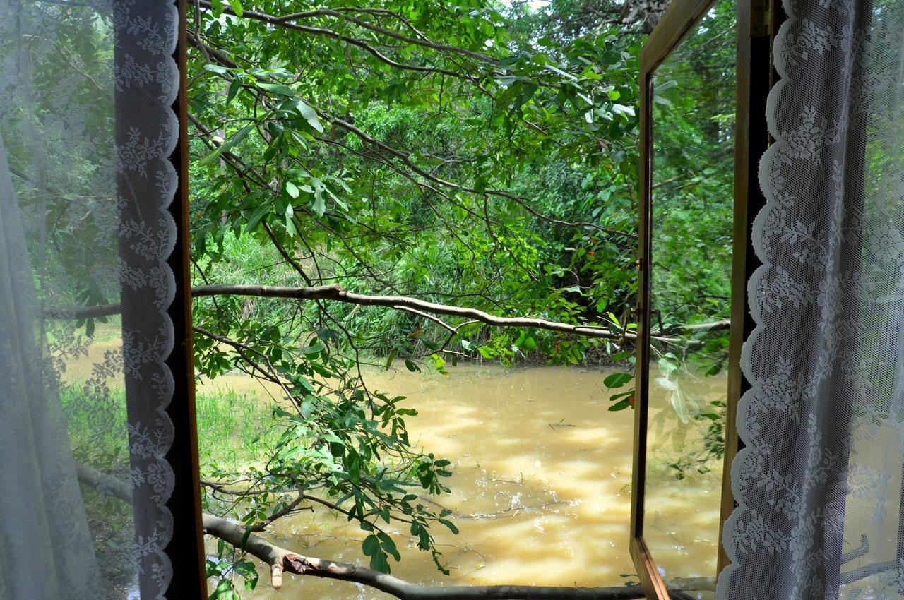 Raintree Villa Dambulla Luaran gambar