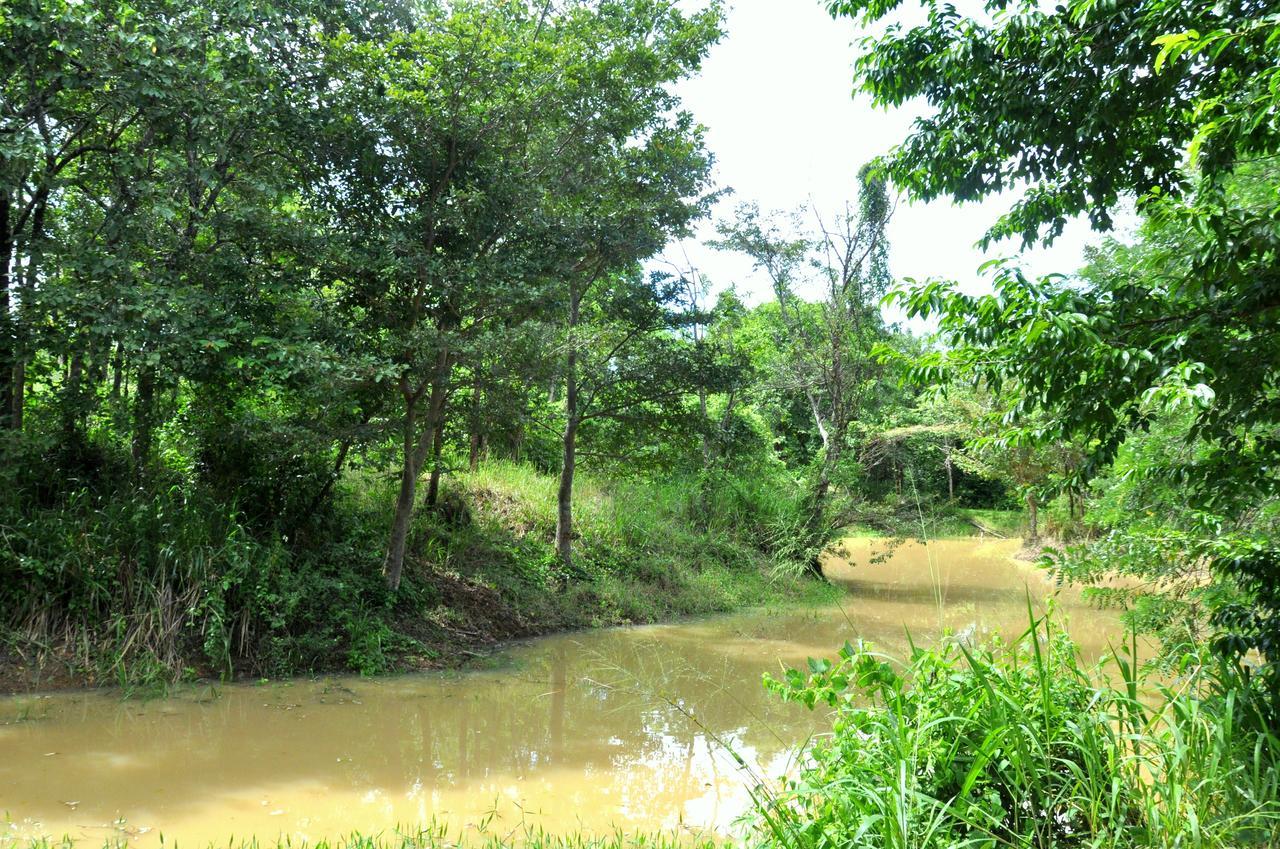 Raintree Villa Dambulla Luaran gambar