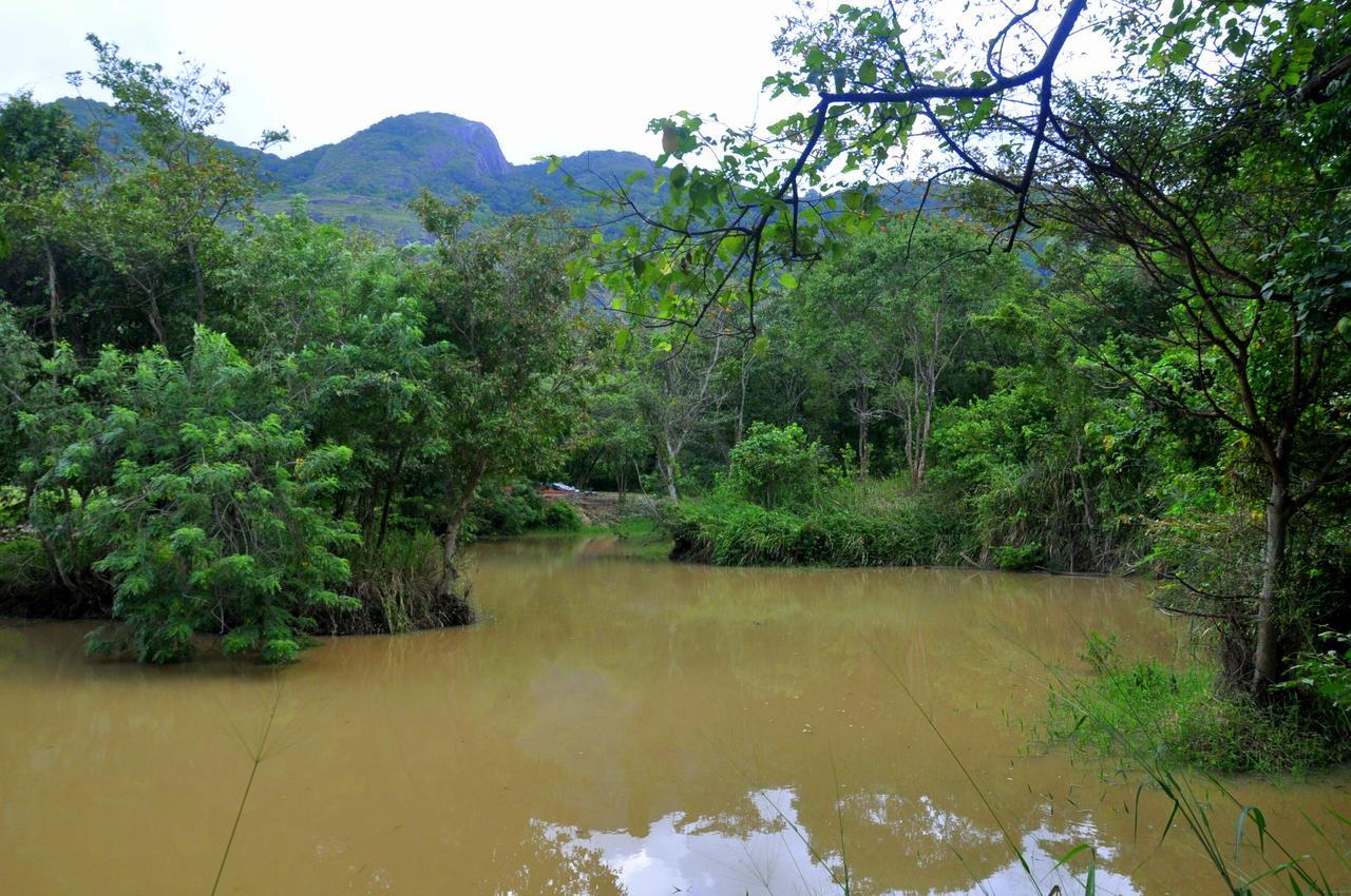 Raintree Villa Dambulla Luaran gambar