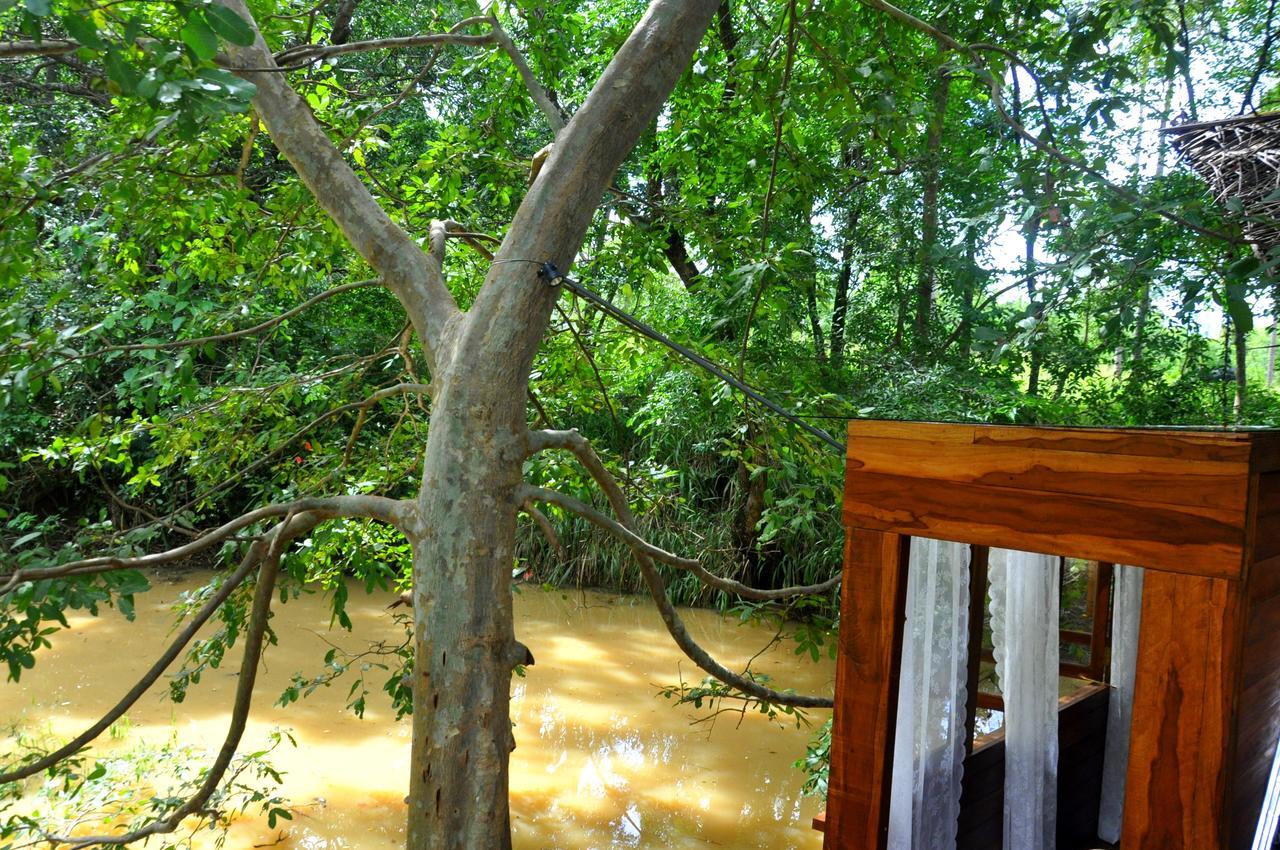 Raintree Villa Dambulla Luaran gambar