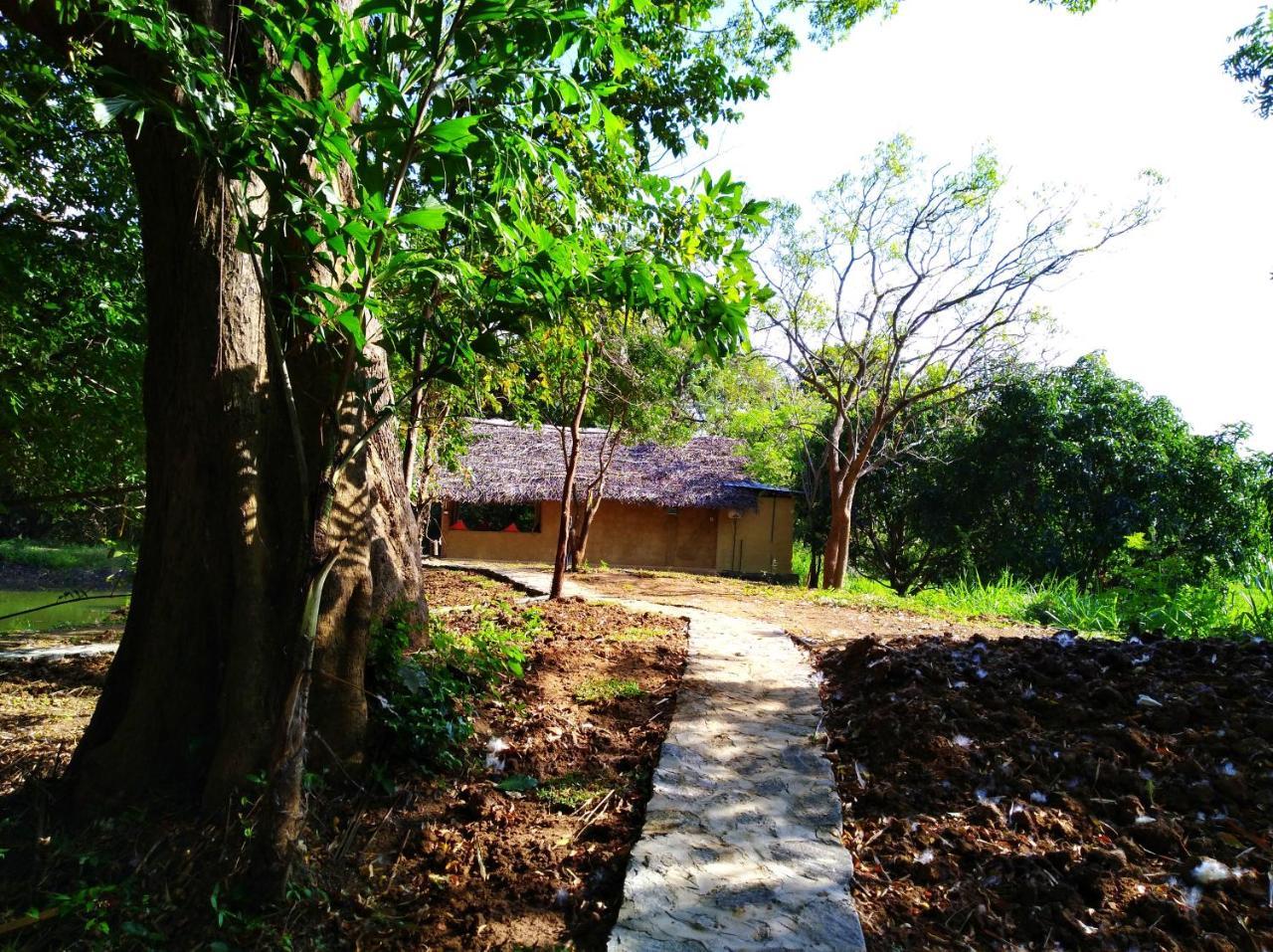 Raintree Villa Dambulla Luaran gambar