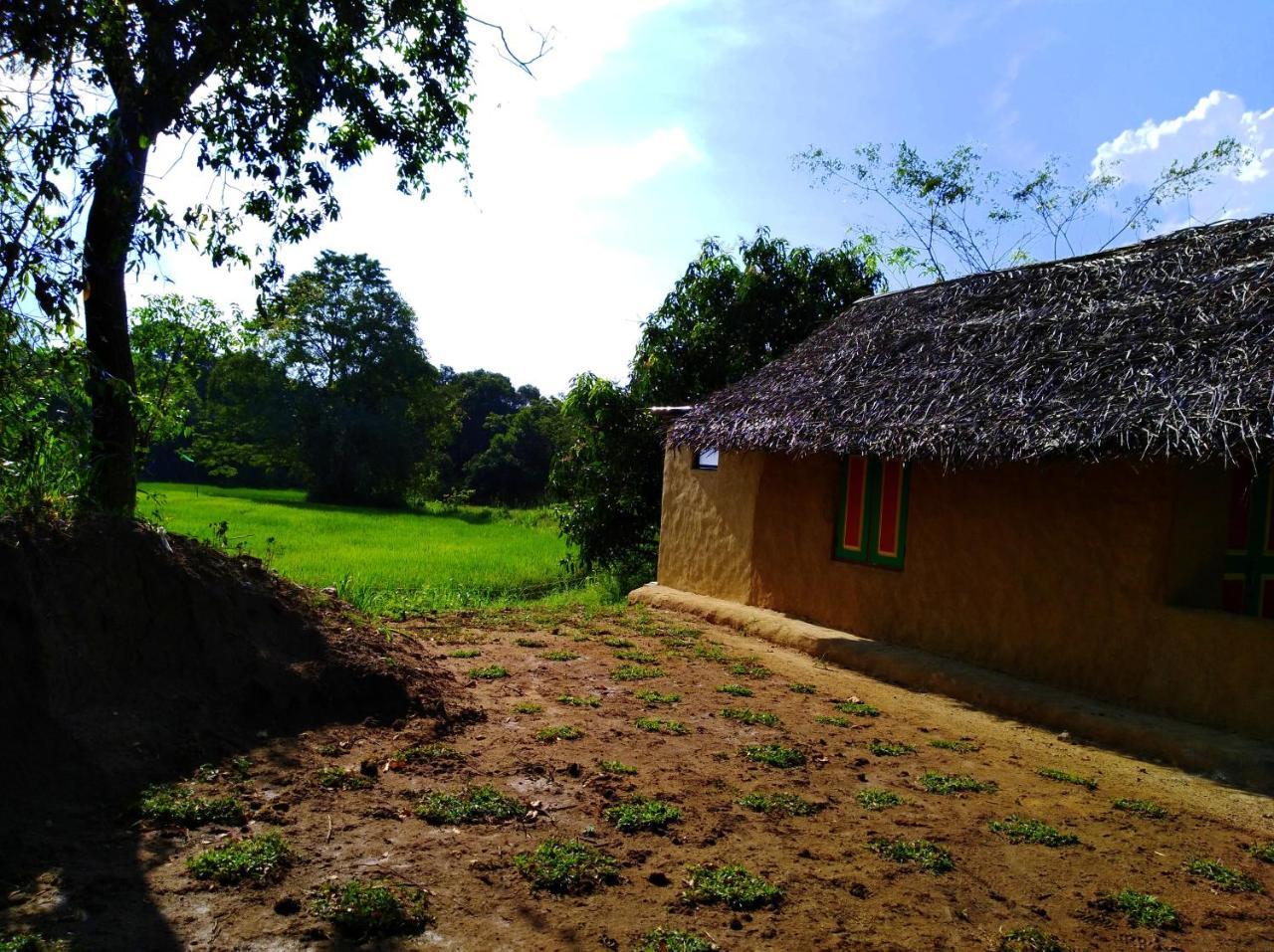 Raintree Villa Dambulla Luaran gambar