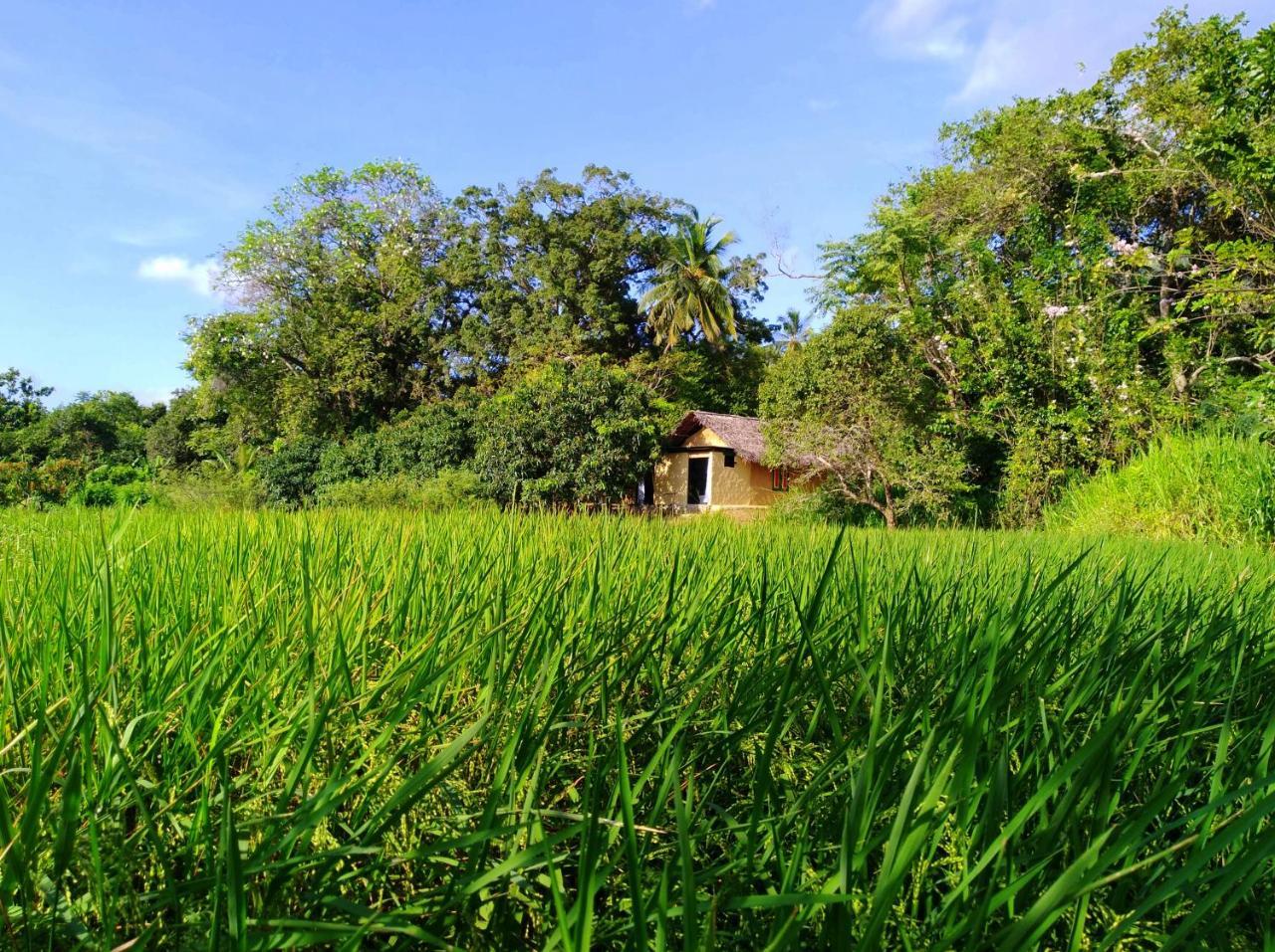 Raintree Villa Dambulla Luaran gambar