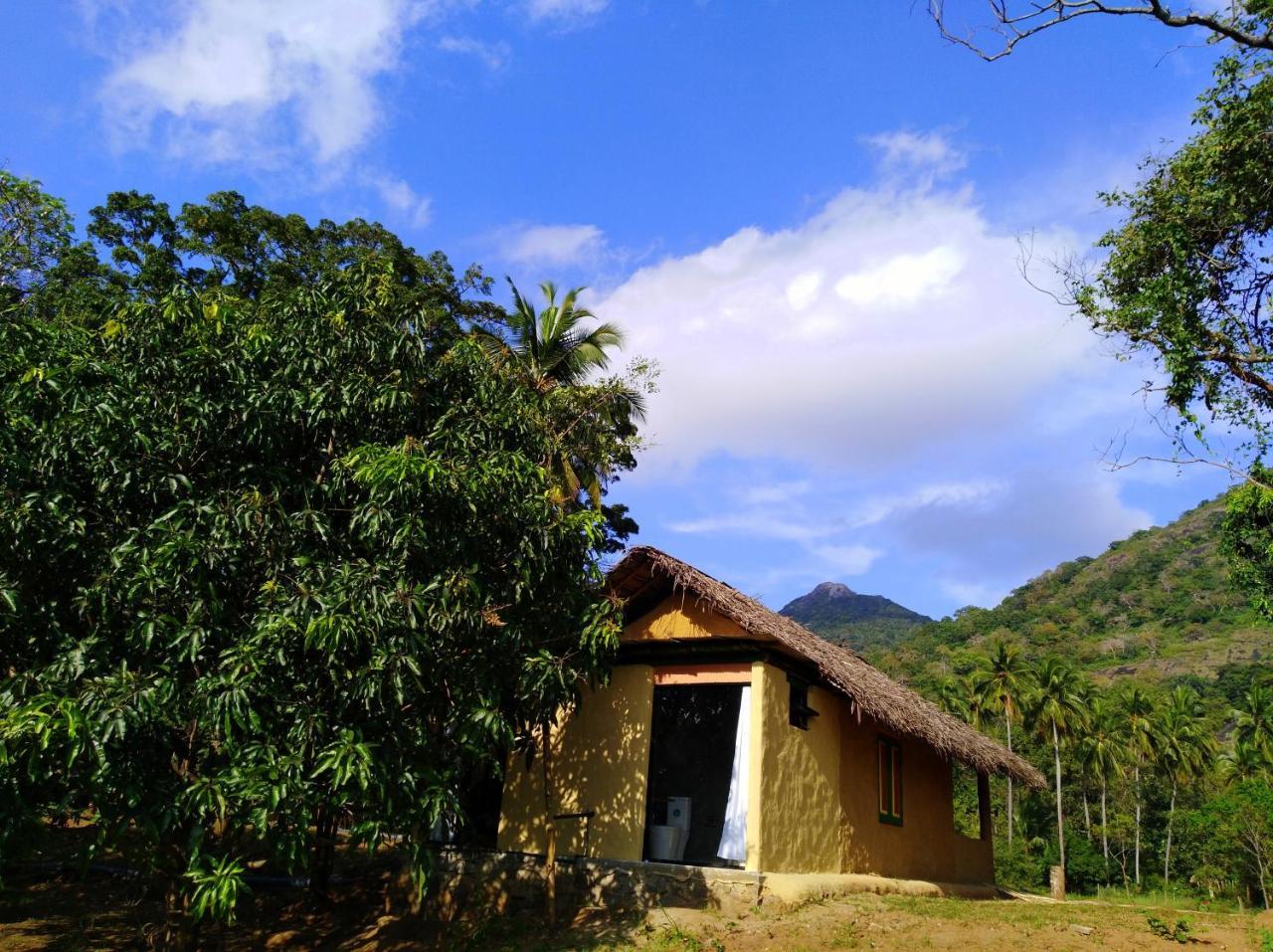 Raintree Villa Dambulla Luaran gambar