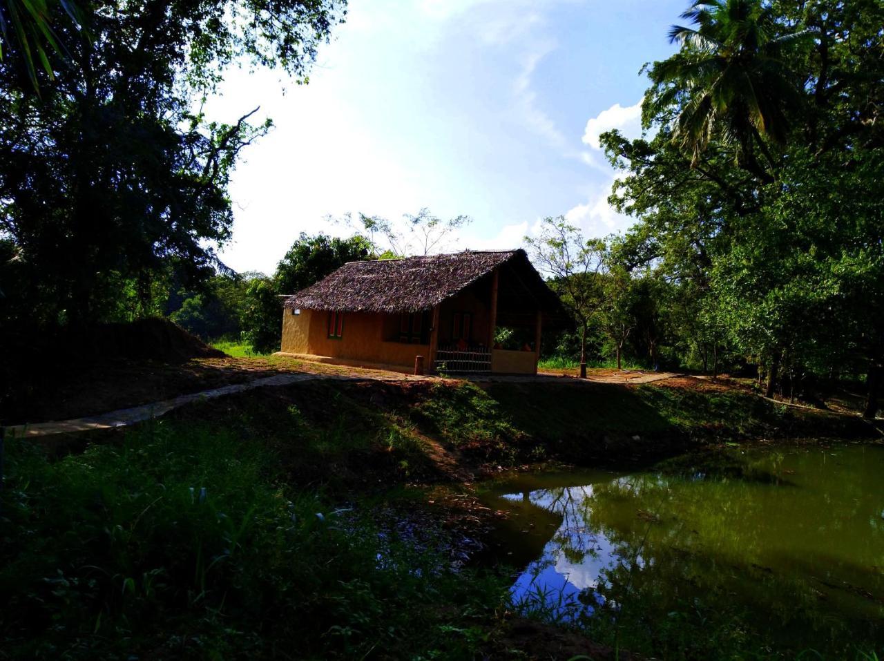 Raintree Villa Dambulla Luaran gambar